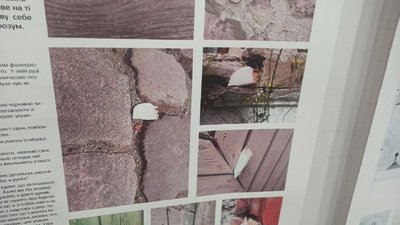 "Херсон inside/outside": у Вінниці представили мистецькі роботи, створені в окупації та еміграції