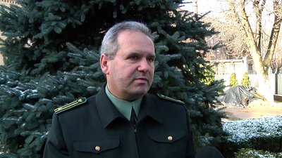 На Житомирщині лісництва відкрили 137 майданчиків для продажу різдвяних ялинок