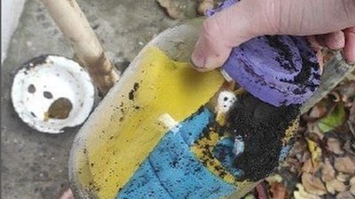 Аби не дісталися окупантам. Мешканець села на Харківщині заховав прапори на городі, їх викопали бійці 103 бригади