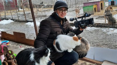 У Кропивницькому в притулку для бездомних тварин не вистачає їжі, дров та утеплювачів для будок