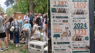 У Полтаві прилаштували 28 котів