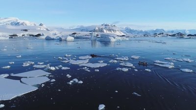 Пінгвіни, урагани та купання у крижаній воді: як живе чернігівець в Антарктиді Пінгвіни, урагани та купання у крижаній воді: як живе чернігівець в Антарктиді