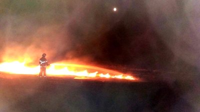 За добу на Херсонщині сталося 17 пожеж в екосистемах
