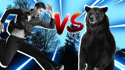 Новий тренд у TokTok: чоловік чи ведмідь?