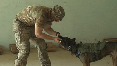 Кінолог Кінолог