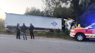 На Рівненщині водій вантажівки врізався в дерево і загинув