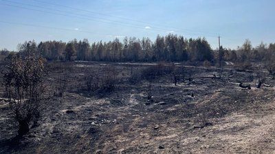 Загоряння поблизу села Феневичі, Київська область