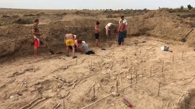 На Мамай-горі у Запорізькій області зробили кілька археологічних знахідок На Мамай-горі у Запорізькій області зробили кілька археологічних знахідок