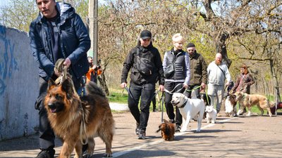 В Одесі оголосили "собачу мобілізацію". ФОТО, ВІДЕО