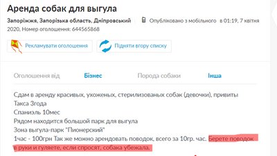 Оренда собак на карантині Оренда собак на карантині