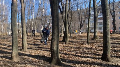 Толока на вулиці Довженка Толока на вулиці Довженка