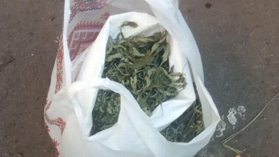 Поліцейські Житомирщини вилучили майже кілограм канабісу Поліцейські Житомирщини вилучили майже кілограм канабісу