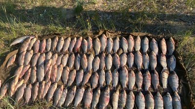 Наловили на 150 тисяч гривень. На Дніпропетровщині за незаконний вилов риби затримали двох чоловіків