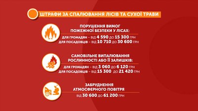 На Полтавщині оголосили надзвичайний рівень пожежної небезпеки На Полтавщині оголосили надзвичайний рівень пожежної небезпеки