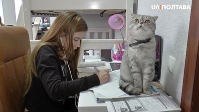 Як у школах проводять дистанційне навчання під час карантину