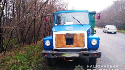 На Вінниччині виявили незаконну вирубку дерев на території дитячого табору На Вінниччині виявили незаконну вирубку дерев на території дитячого табору