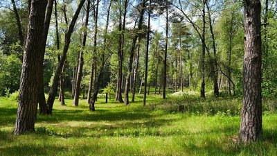 В Запоріжжі викрили держслужбовця-корупціонера