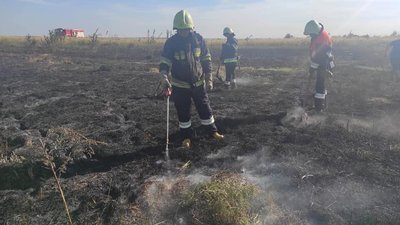 Підпали в дев'яти селах: на Волині за добу вигоріли майже 16 гектарів сухостою Підпали в дев'яти селах: на Волині за добу вигоріли майже 16 гектарів сухостою