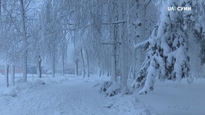 Негода на Сумщині: електрику відновили у половині знеструмлених населених пунктів
