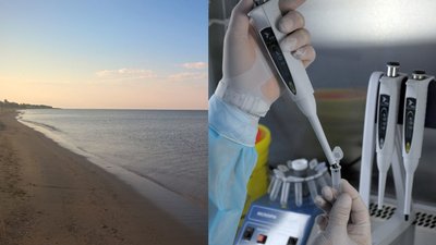 У курортному селі на Миколаївщині виявили хворих на коронавірусну інфекцію