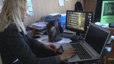 Як лісівники Дніпропетровщини піклуються про врятованих тварин Як лісівники Дніпропетровщини піклуються про врятованих тварин