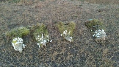 Поліцейські на Херсонщині попередили браконьєрський вилов на 26 тисяч гривень Поліцейські на Херсонщині попередили браконьєрський вилов на 26 тисяч гривень