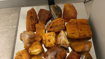 Рівнянин хотів вивезти контрабандою бурштин до Перської затоки, - СБУ Рівнянин хотів вивезти контрабандою бурштин до Перської затоки, - СБУ