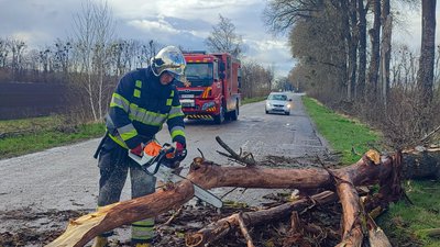 На Вінниччині через сильні пориви вітру падали дерева
