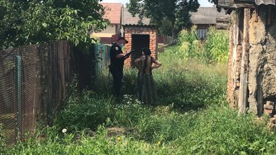 У Тлумачі на Прикарпатті жінку звинувачують у жорстокому поводженні з собаками У Тлумачі на Прикарпатті жінку звинувачують у жорстокому поводженні з собаками