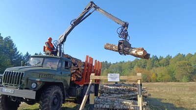 Чи зросла ціна на дрова від лісгоспів на Волині