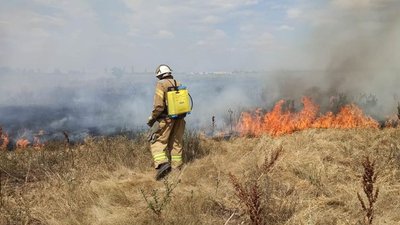 На Херсонщині за добу зафіксували 20 пожеж в екосистемах