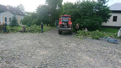 Луцькі комунальники прибирають залишки "Лесиного ясена" Луцькі комунальники прибирають залишки "Лесиного ясена"