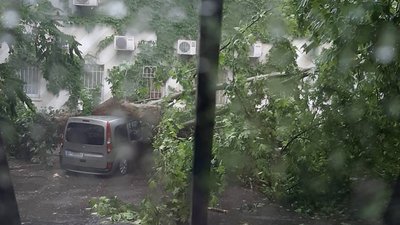 Херсоном пронеслась негода: повалені дерева, транспортні затори, затоплені вулиці Херсоном пронеслась негода: повалені дерева, транспортні затори, затоплені вулиці