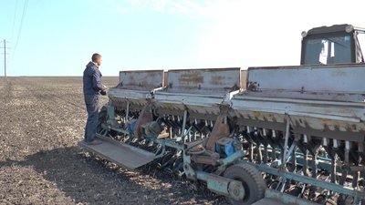 На Полтавщині озимими культурами засіють понад 260 тисяч гектарів землі