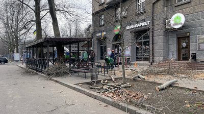 За прикладом інших міст України. У Миколаєві пропонують прийняти правила поводження з насадженнями