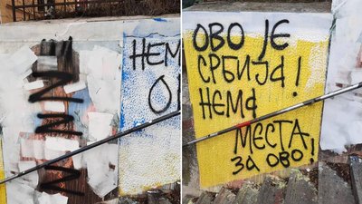 леся українка сербія мурал