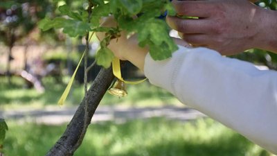 У Миколаєві вшанували пам'ять загиблих від російської агресії дітей У Миколаєві вшанували пам'ять загиблих від російської агресії дітей