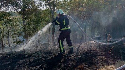 Рятувальник гасить пожежу на відкритій місцевості
