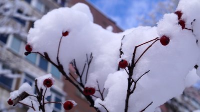 Дніпро після нічного снігопаду. Фоторепортаж Дніпро після нічного снігопаду. Фоторепортаж