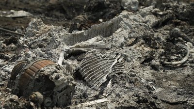 Залишки спаленої авітівки вбитої родини киян на Чернігівщині