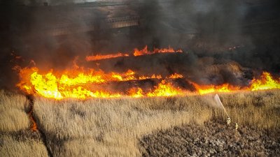 "Доводиться буквально "ловити" вогонь": на Миколаївщині протягом доби вигоріло 55 гектарів територій "Доводиться буквально "ловити" вогонь": на Миколаївщині протягом доби вигоріло 55 гектарів територій