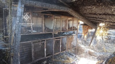 Загинуло 30 нутрій та три кролі: у Носівській громаді на Чернігівщині сталася пожежа