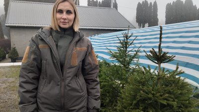 Житомир, ялинки у горщиках контейнерах, свято, лісництво, розсадник