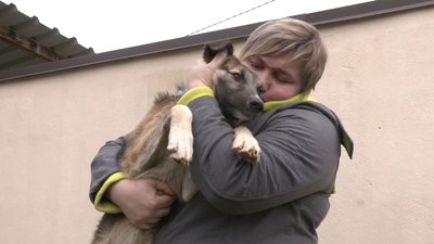 Трьом цуценятам, яких врятували у Чернігові зі смоляного озера, шукають домівку