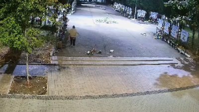 Жінка розкидала квіти та вчиняла хуліганські дії на Алеї Героїв у Ніжині