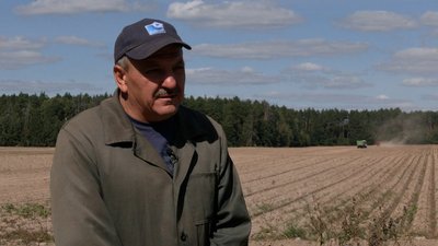 "Посадили на місяць пізніше – зібрали менше": як вродила картопля у Боромиках "Посадили на місяць пізніше – зібрали менше": як вродила картопля у Боромиках