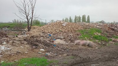 Незаконне звалище тваринних відходів виявили на Вінниччині Незаконне звалище тваринних відходів виявили на Вінниччині