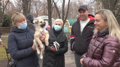 Щастя не має породи. У Миколаєві безпородні собаки шукали господарів Щастя не має породи. У Миколаєві безпородні собаки шукали господарів