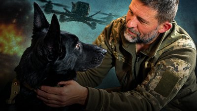 Росіяни атакували FPV-дроном службову собаку на прикордонні Чернігівщини