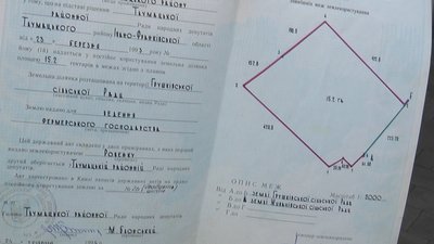 Один посіяв – інший зібрав: як на Івано-Франківщині фермери борються за землю